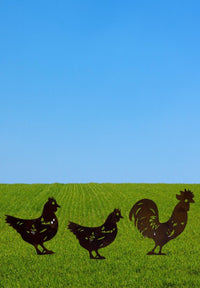 Metal Chickens